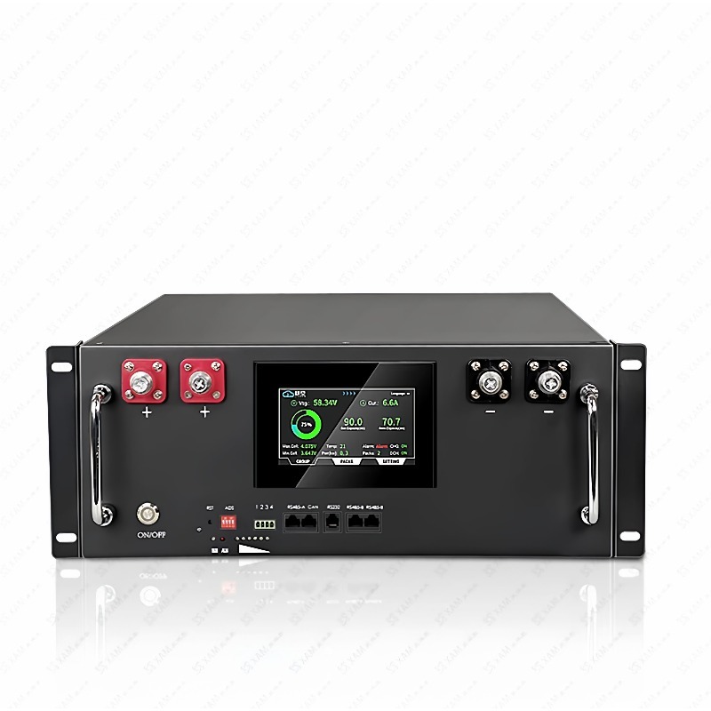51.2 فولت 100AH LiFePO4 رف شنت - مراجعة Energy Storage Rack وسعره