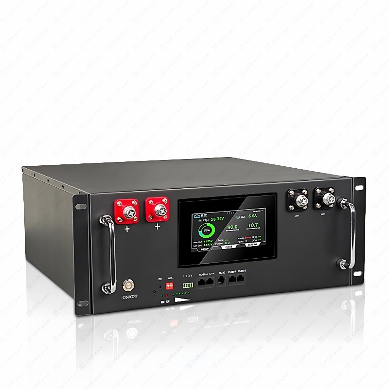 51.2 فولت 100AH LiFePO4 رف شنت - مراجعة Energy Storage Rack وسعره